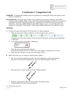 Cytochrome C lab for comparing genes