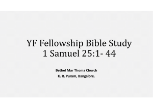 1 Samuel 25 questions
