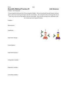 Scientific Method Practice Worksheet