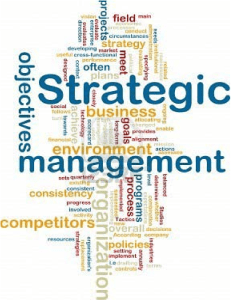 2-strategic-management-shan-foods-private-limited