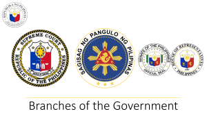 Branches of Government
