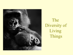1.1 The diversity of living things and Kingdoms