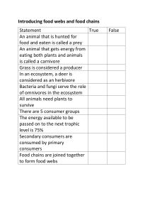 Introducing food webs and food chains worksheet