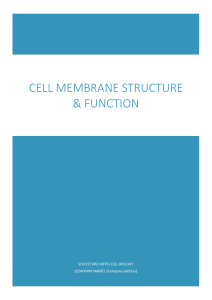 cellmembrane-190722132212