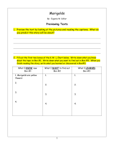 12-12-Marigolds Worksheet 1