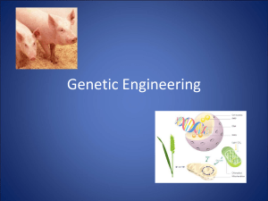 CH Genetic Engineering