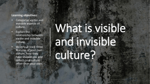 Volume 2 Lesson 1 What is visible and invisible culture 