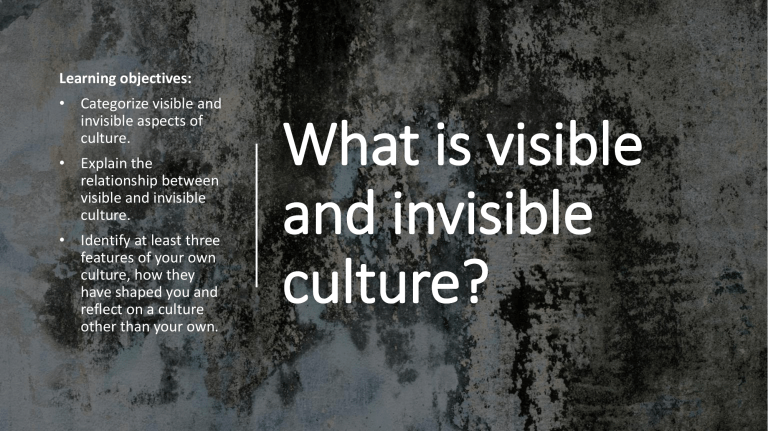 Volume 2 Lesson 1 What Is Visible And Invisible Culture