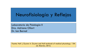 3. Neurofisiología 2.0