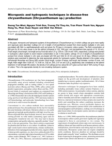 Microponic and hydroponic techniques in disease-free chrysanthemum