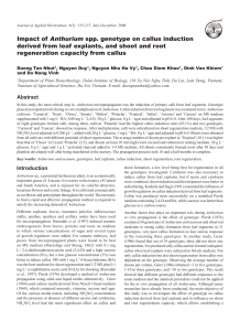 Impact of Anthurium spp. genotype on callus induction