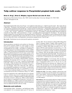 Tulip cultivar response to Flurprimidol preplant bulb soaks