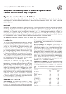 Response of tomato plants to deﬁcit irrigation under  surface or subsurface drip irrigation