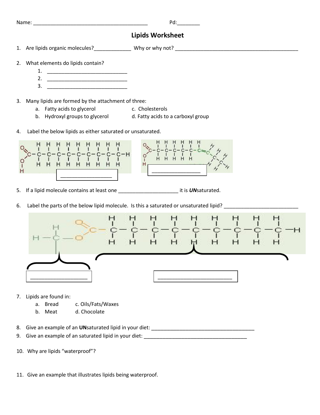 lipids worksheet With Regard To Lipids Worksheet Answer Key