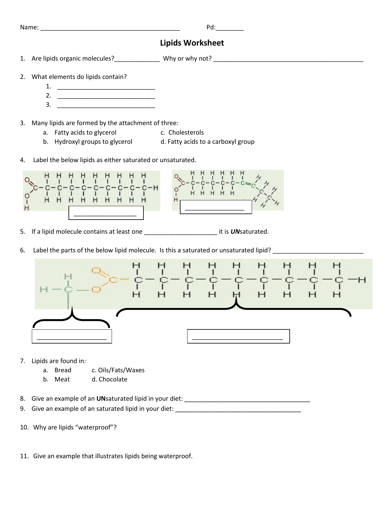 lipids worksheet Within Lipids Worksheet Answer Key