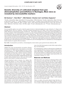 Genetic diversity of cultivated elephant foot yam (Amorphophallus paeoniifolius) 