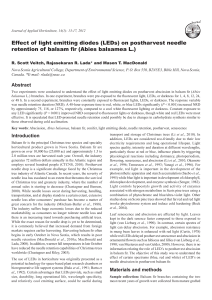 Effect of light emitting diodes (LEDs) on postharvest needle