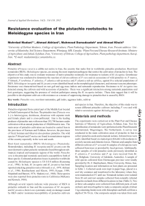 Resistance evaluation of the pistachio rootstocks to
