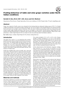 Fruiting behaviour of table and wine grape varieties under North  Indian conditions