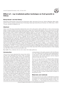 Effect of g ray irradiated pollen technique on fruit growth in