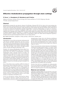 Effective rhododendron propagation through stem cuttings)
