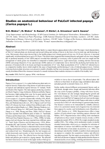 Studies on anatomical behaviour of PaLCuV infected papaya