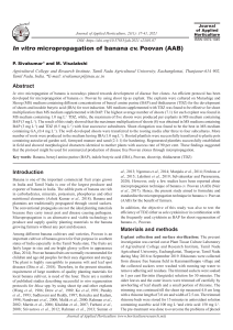 In vitro micropropagation of banana cv. Poovan (AAB)