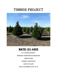 Timber Project.