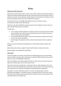 Mitosis, Cell Cycle, & DNA: Biology Study Guide