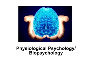 Lec 1 Biopsychology