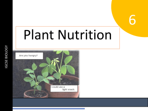 PLANT NUTRITION 1