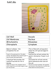 B2.1.1-Animal-and-Plant-Cell-Structure-and-Function