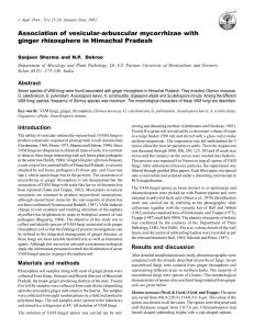 Association of vesicular-arbuscular mycorrhizae with ginger rhizosphere in Himachal Pradesh