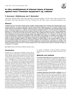 In vitro establishment of tolerant clones of banana against race-1 Fusarium oxysporum f. sp. cubense