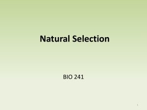 BIO 241 Natural Selection