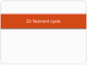 Zn Nutrient cycle