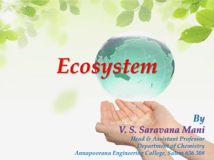 ecosystem-vss-150708064728-lva1-app6891