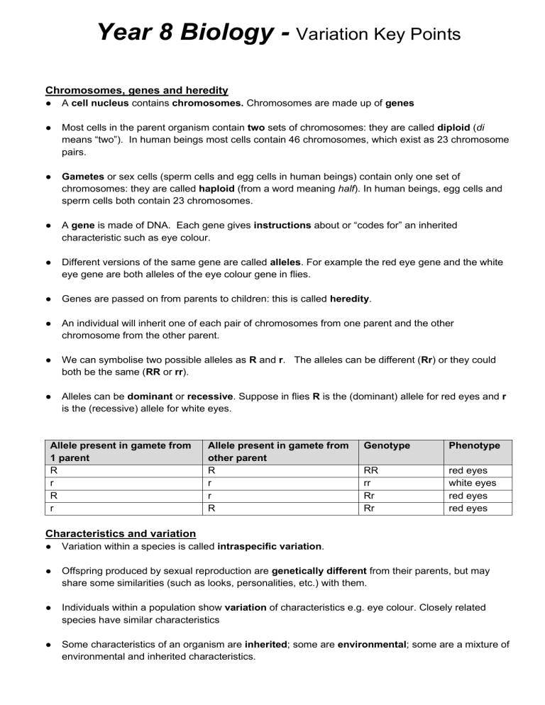 key-points-for-variation-year-8-biology