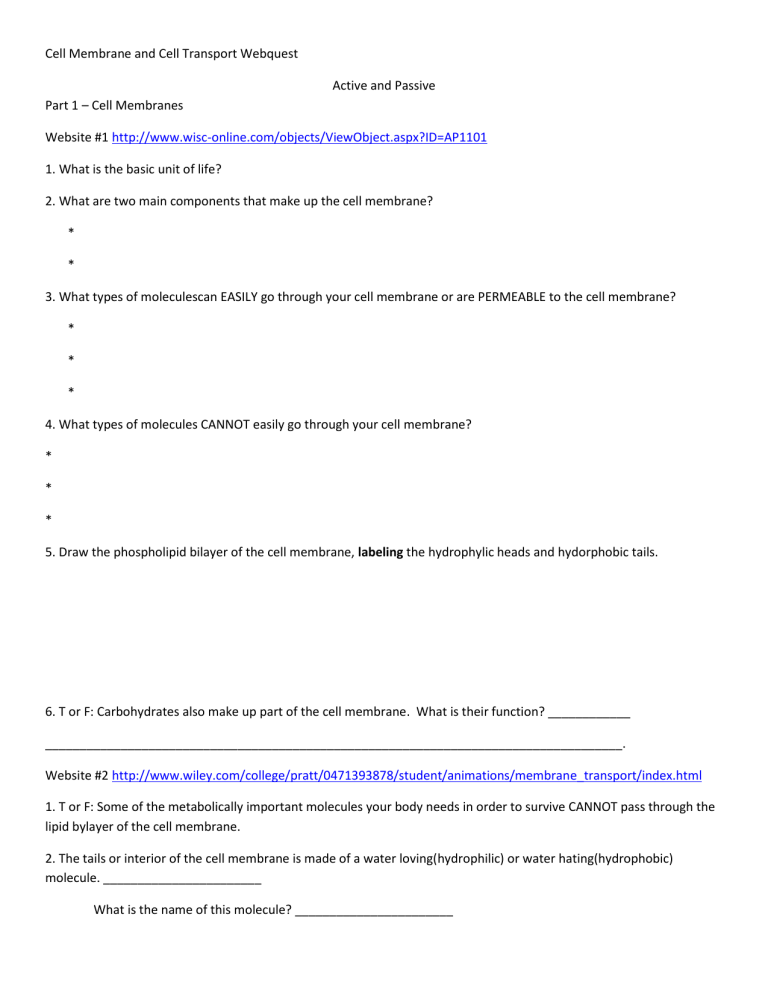 Cell Membrane and Cell Transport Webquest