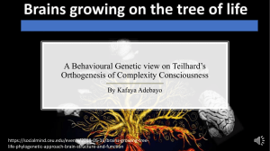 A Behavioural Genetic view on Teilhard’s Orthogenesis of Complexity Consciousness