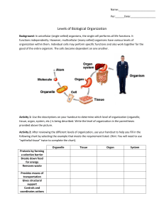 main levels-biological-organization-worksheet-biology-231-anatomy-and-physiology-portland-community-college