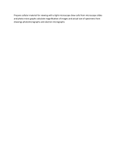 Microscopy Techniques: Preparing Slides, Drawing Cells, Calculating Magnification