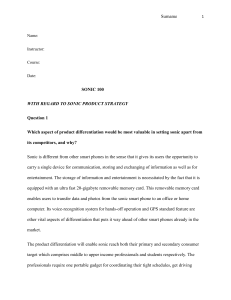 Sonic 100 Product Strategy Analysis