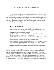 Is it Alive? Slime Mold Investigation