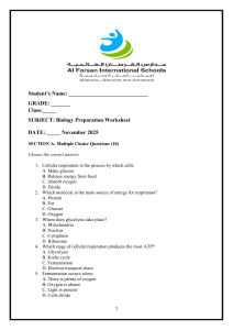 Biology Preparation Worksheet: Cellular Respiration & Cell Division