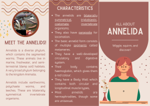 All About Annelida: Segmented Worms Guide