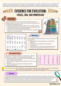 Evidence for Evolution: Fossils, DNA, and Embryology