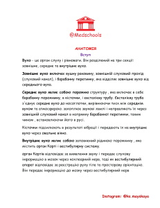 Анатомія вуха: структура та функція