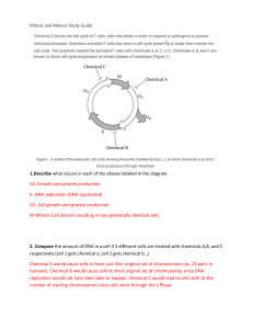 Mitosis and Meiosis Study Guide