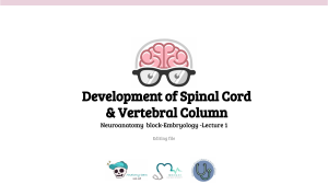 Development of Spinal Cord & Vertebral Column: Embryology Lecture